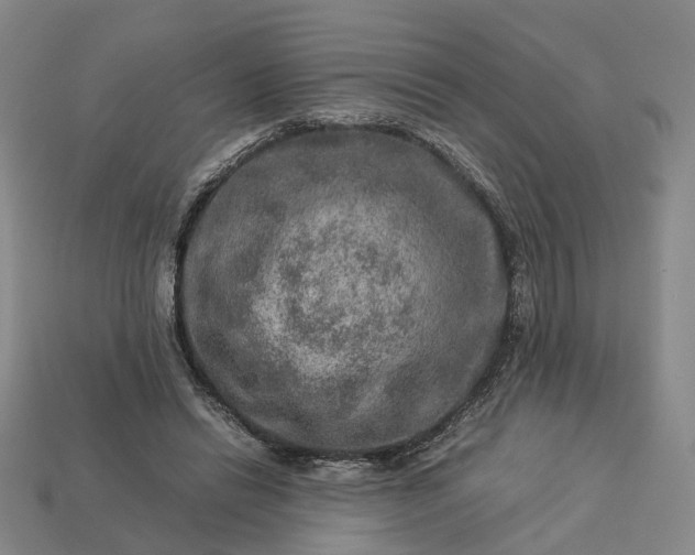 X0000112950446200909071119