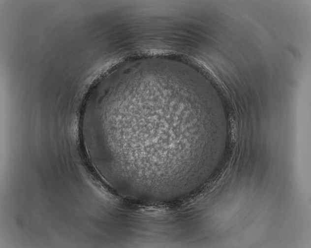 X0000112950447200909071119