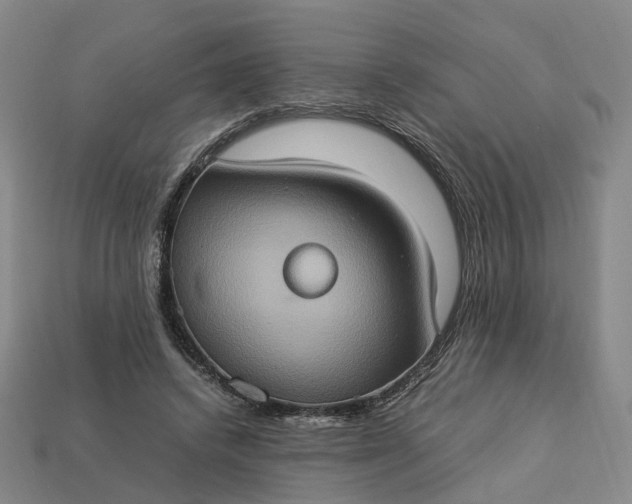 X0000112950448200909071119