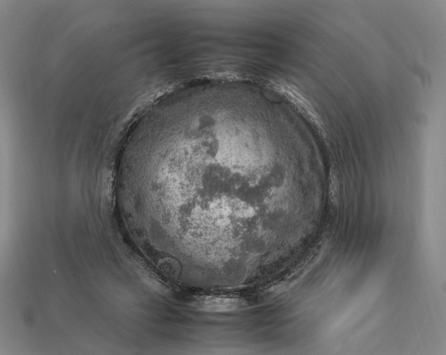 X0000112950449200909071119