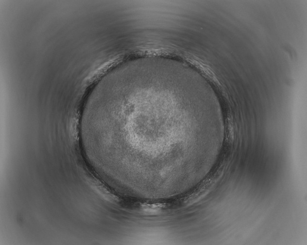 X0000112950450200909071119