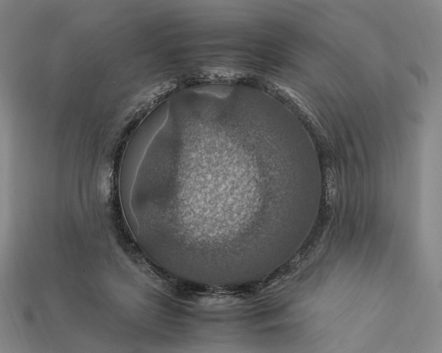 X0000112950451200909071119