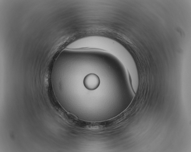 X0000112950452200909071119