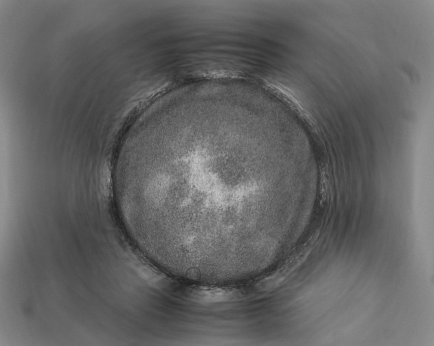 X0000112950453200909071119