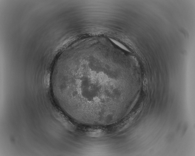 X0000112950454200909071119