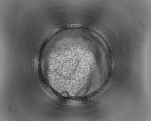 X0000112950455200909071119