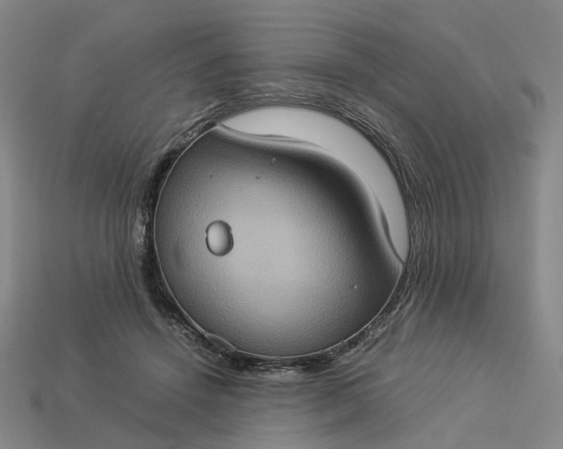 X0000112950456200909071119