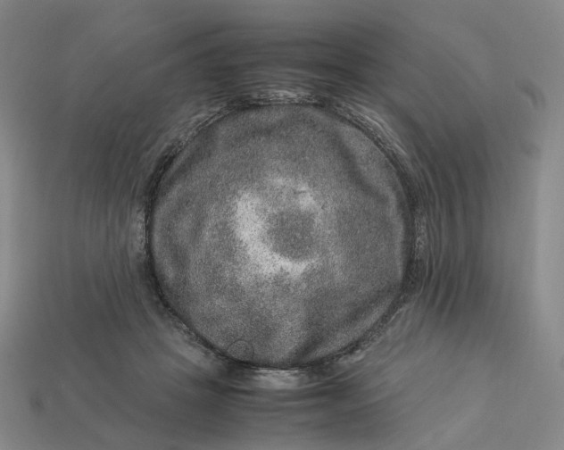 X0000112950457200909071119