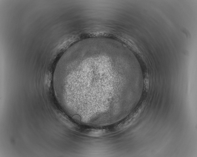 X0000112950458200909071119