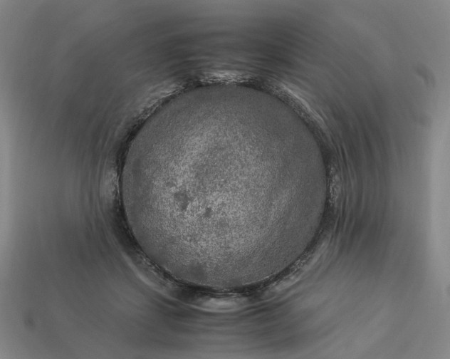 X0000112950459200909071119