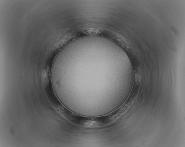 X0000112950460200909071119