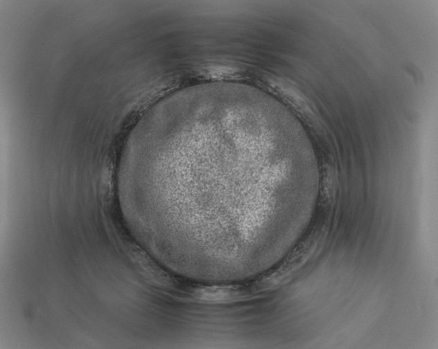 X0000112950461200909071119