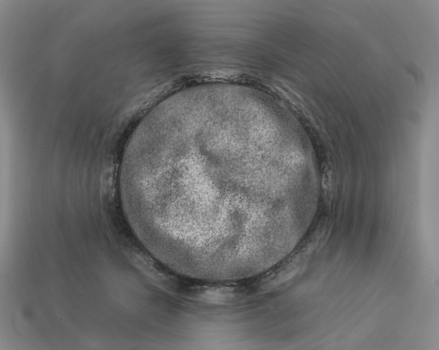 X0000112950462200909071119