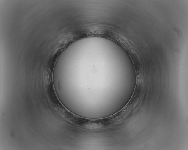 X0000112950464200909071119