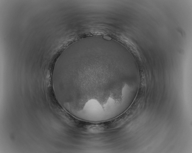 X0000112950465200909071119