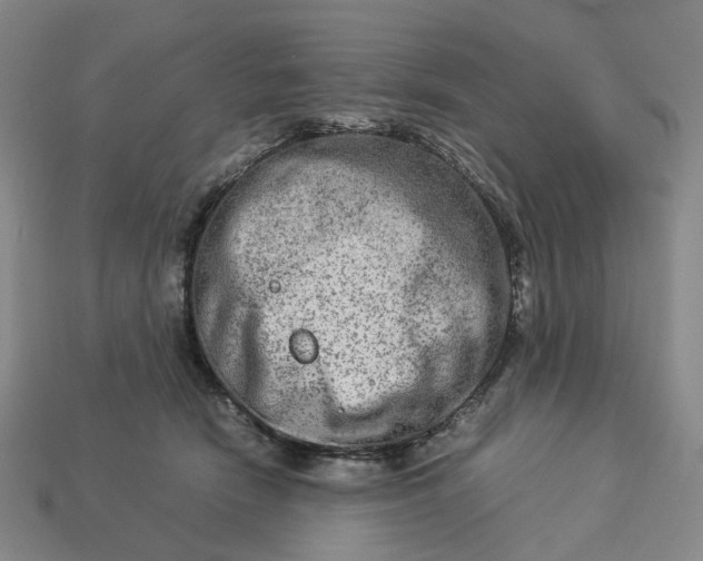 X0000112950466200909071119