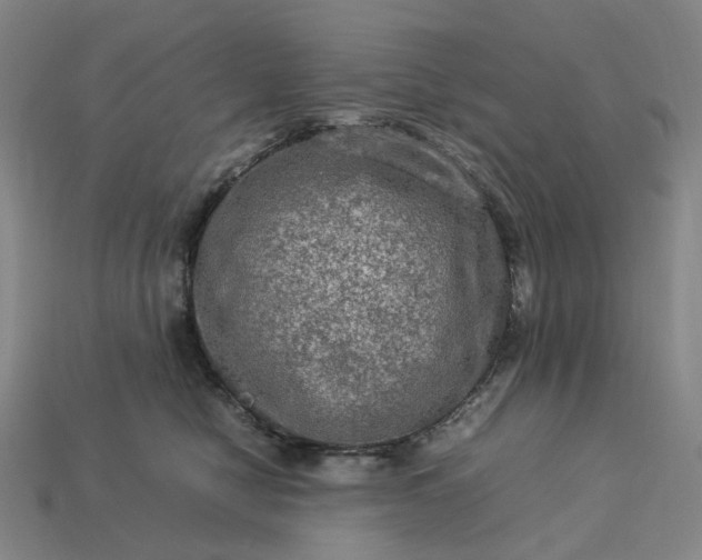 X0000112950470200909071119