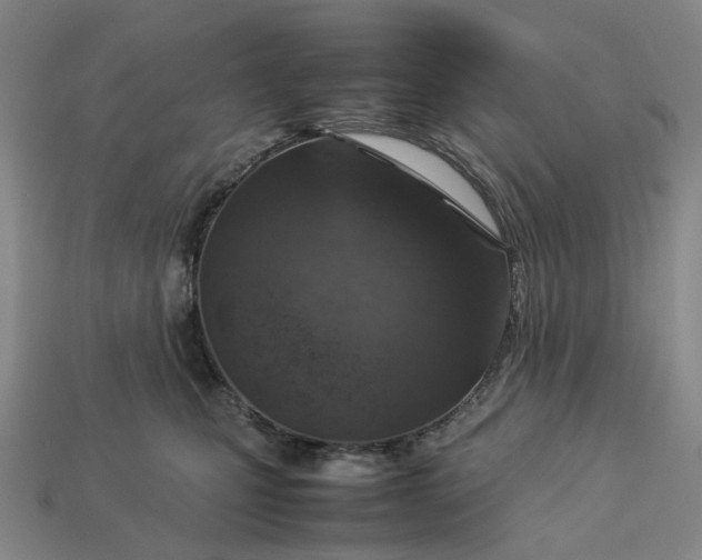 X0000112950471200909071119