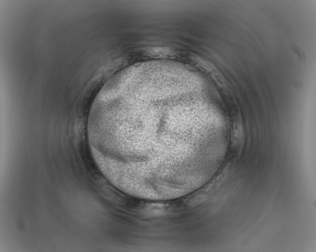 X0000112950473200909071119