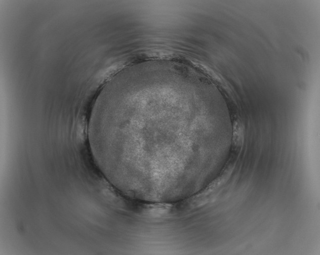 X0000112950474200909071119