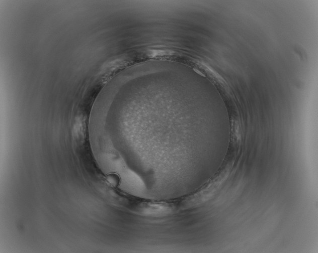 X0000112950475200909071119