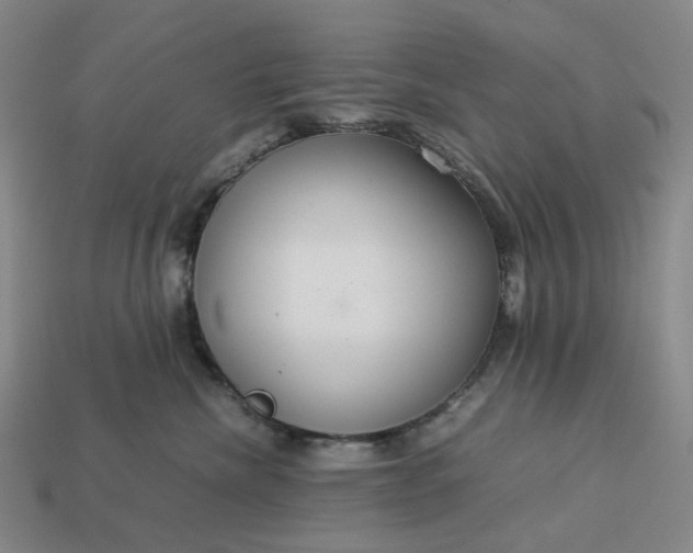 X0000112950476200909071119