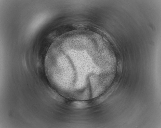 X0000112950477200909071119