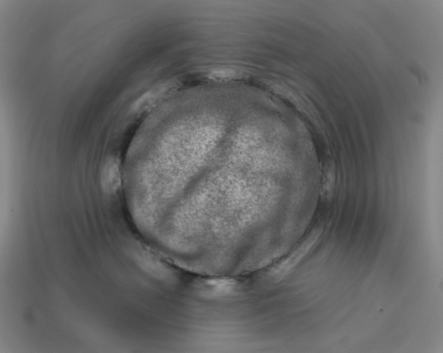 X0000112950478200909071119