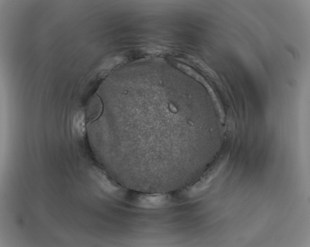 X0000112950479200909071119