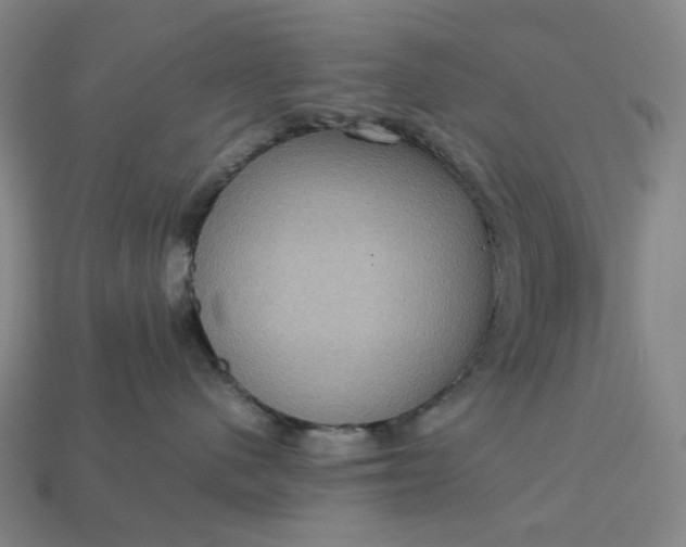 X0000112950480200909071119