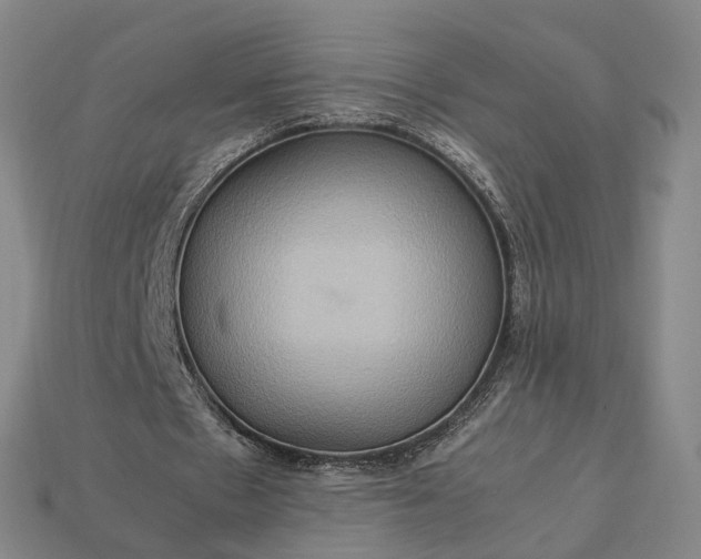 X0000112950481200909071118