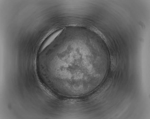 X0000112950482200909071118