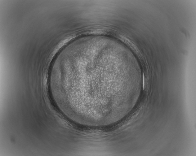 X0000112950483200909071118