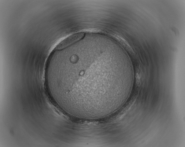 X0000112950484200909071118