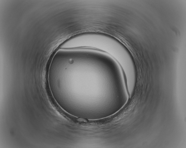 X0000112950485200909071118