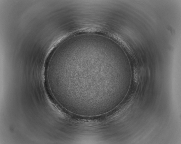 X0000112950486200909071118