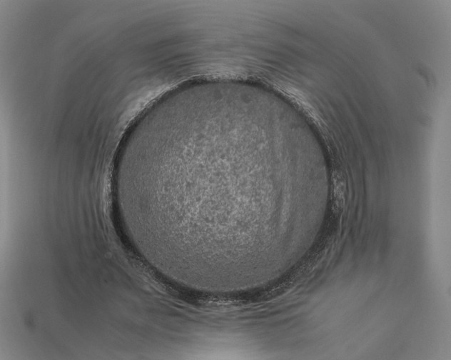 X0000112950487200909071118