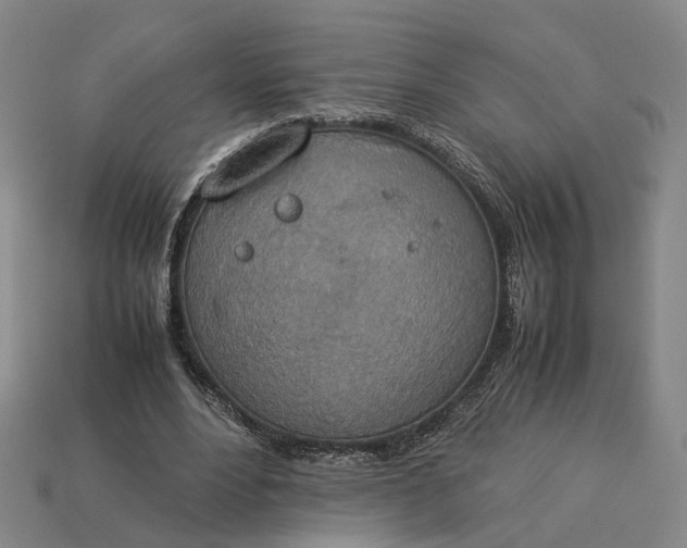 X0000112950488200909071118