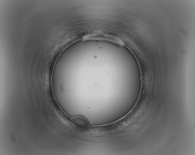 X0000112950489200909071118