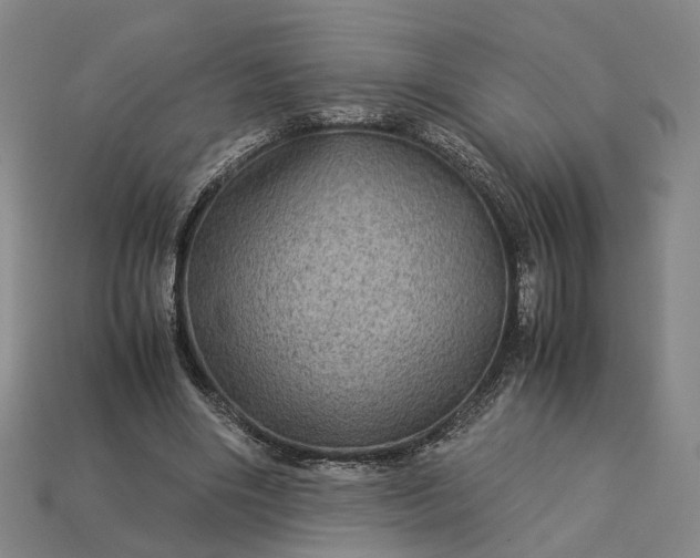 X0000112950490200909071118