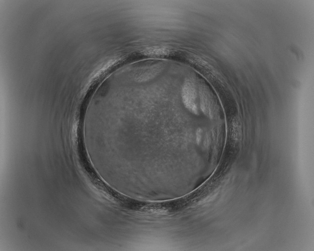 X0000112950491200909071118