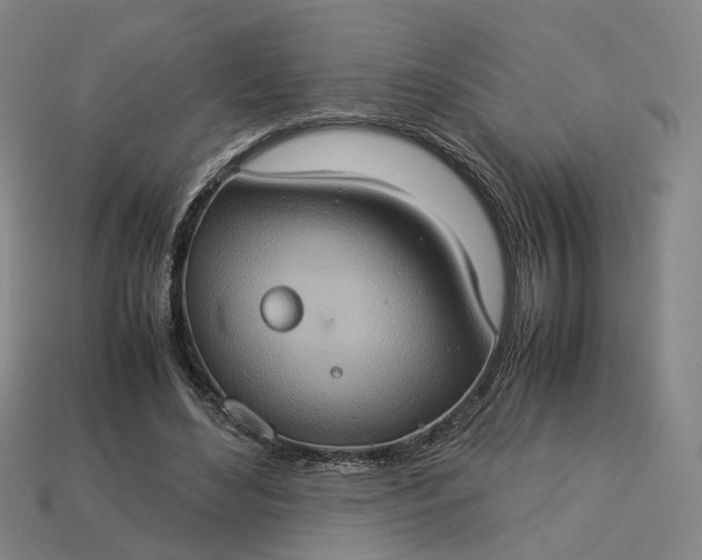 X0000112950492200909071118