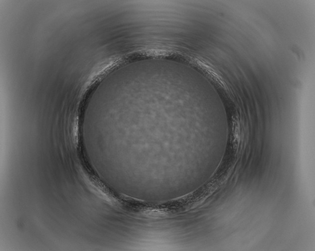 X0000112950494200909071118