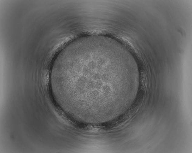 X0000112950495200909071118