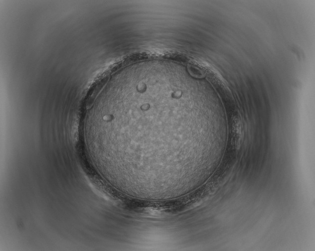 X0000112950496200909071118