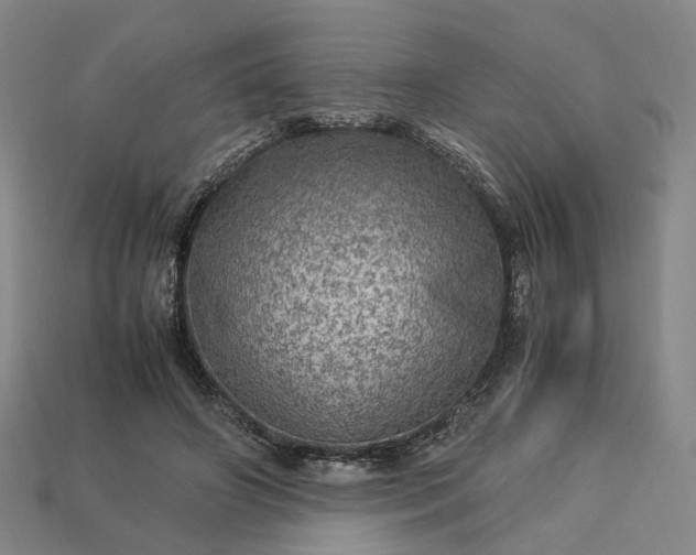 X0000112950498200909071118