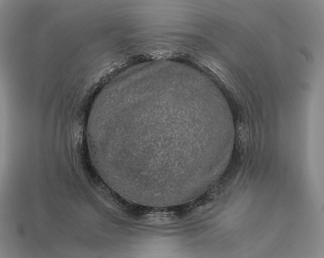 X0000112950499200909071118