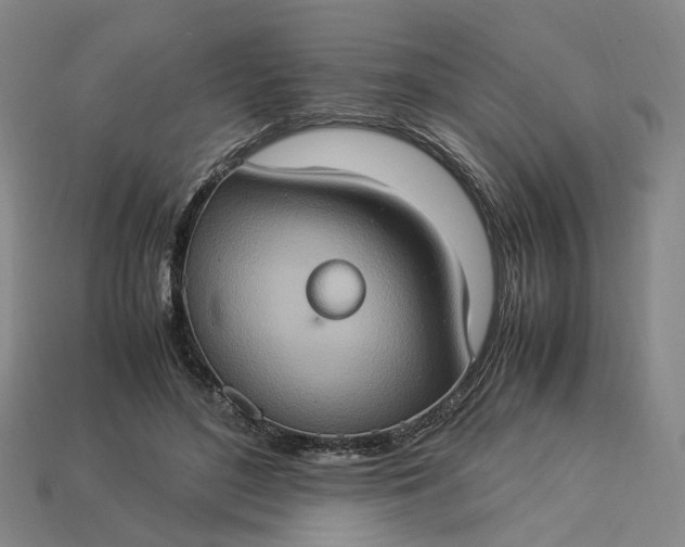 X0000112950500200909071118