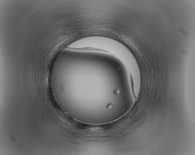 X0000112950501200909071118