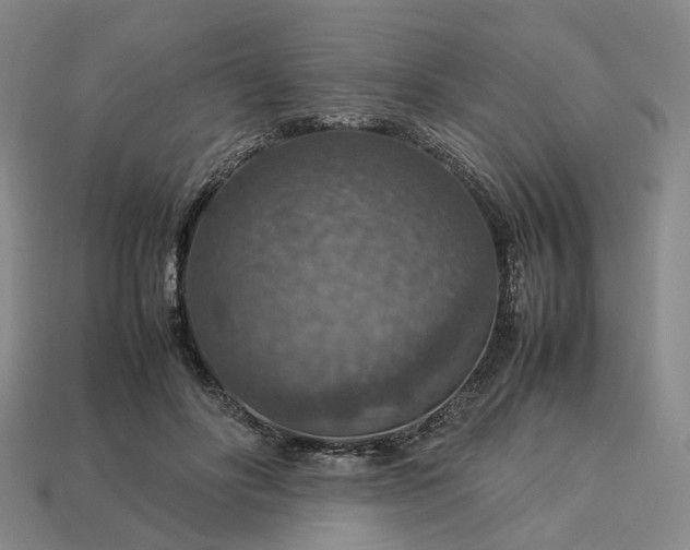 X0000112950502200909071118